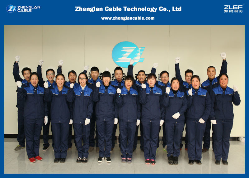 از 17 نوع صدور گواهینامه برای صادرات سیم و کابل مطلعید؟