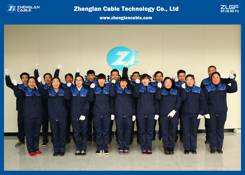 عملکردهای فنی اصلی کابل‌های هوایی چیست؟